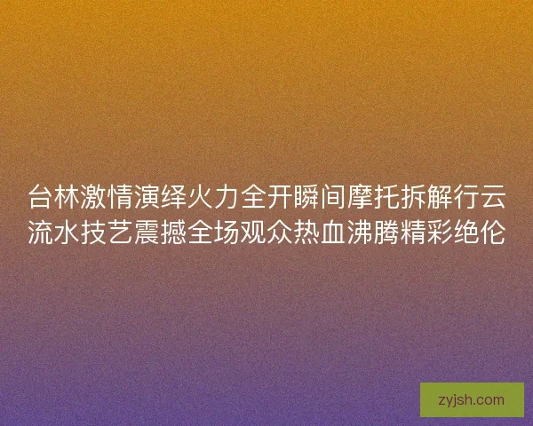 台林激情演绎火力全开瞬间摩托拆解行云流水技艺震撼全场观众热血沸腾精彩绝伦
