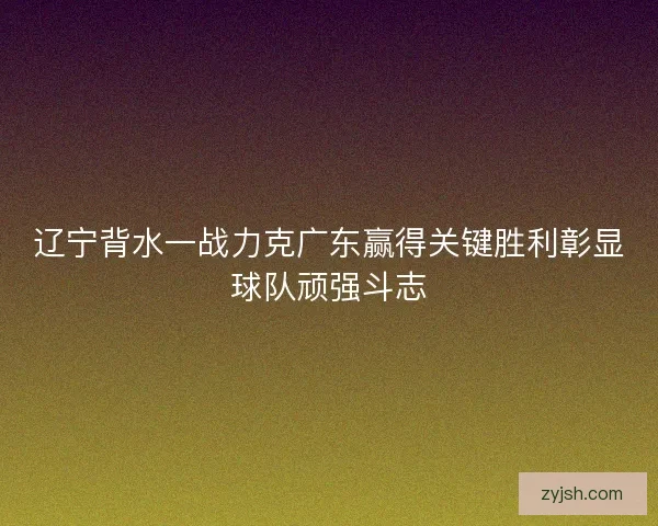 辽宁背水一战力克广东赢得关键胜利彰显球队顽强斗志